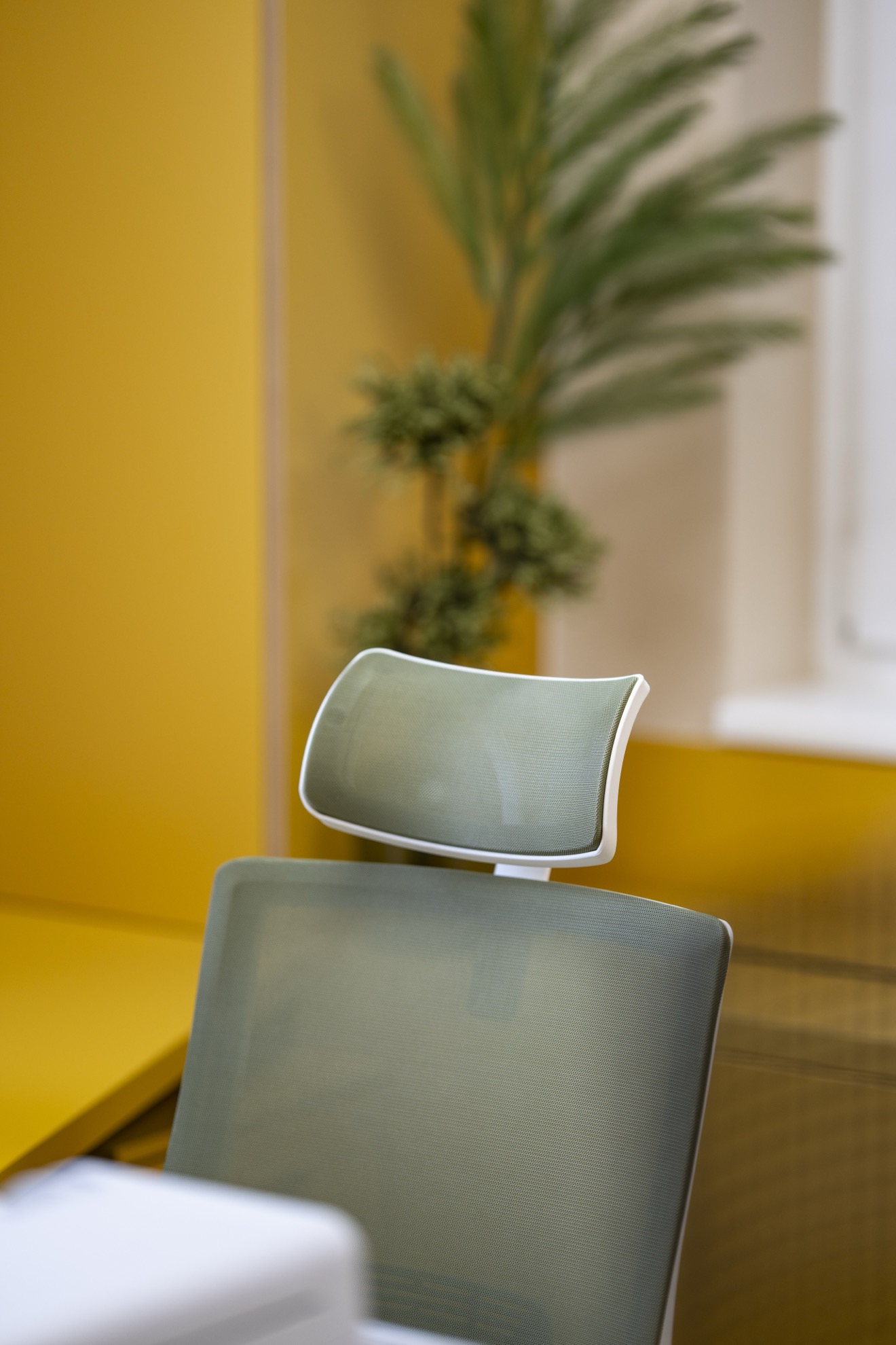 Ordination Dr. Berl - Detail 6