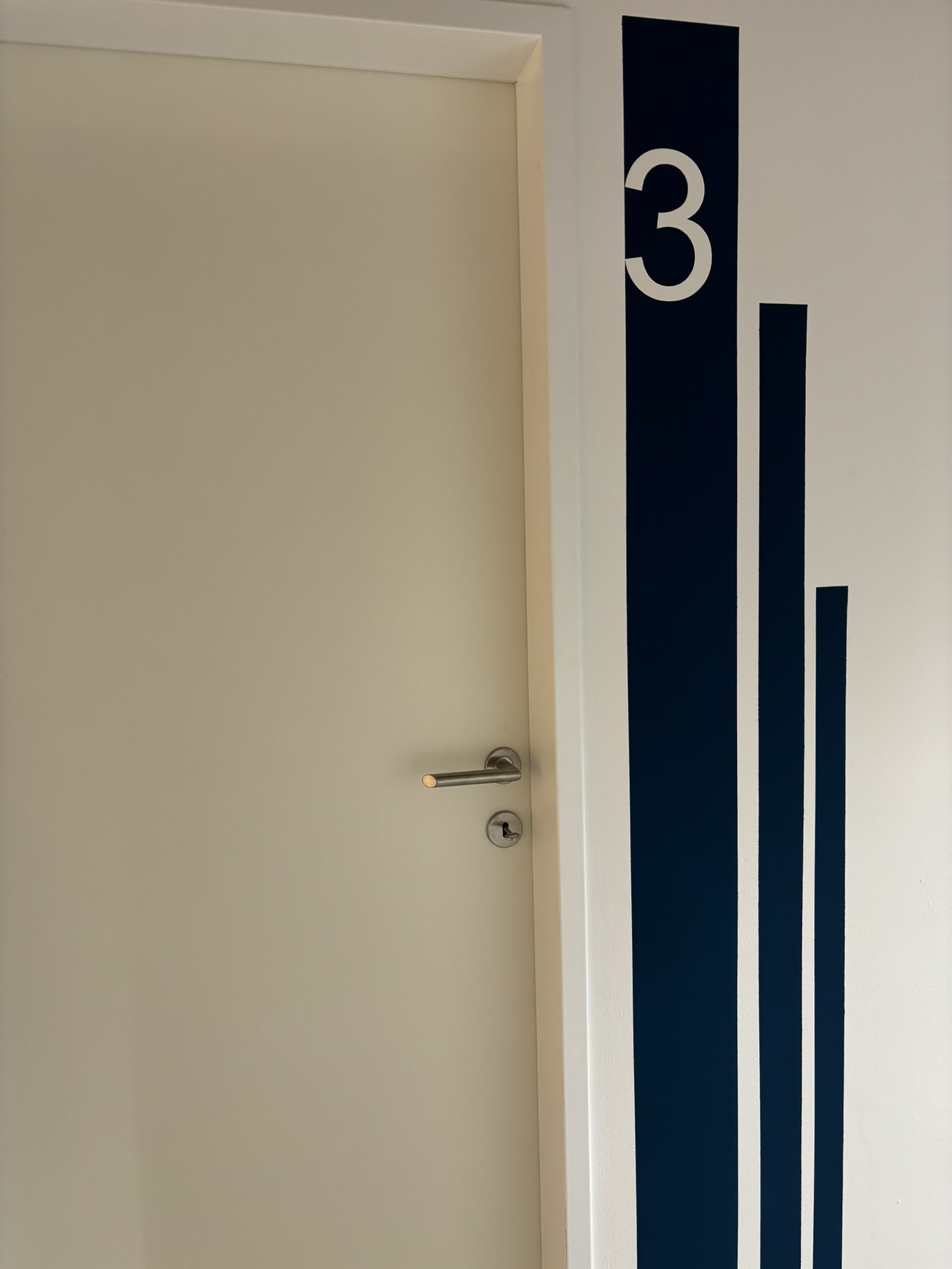 Dr. Hauser Akzentwand - Detail 5 Dr. Hauser Akzentwand - Detail 5